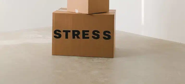 Moving box labelled stress symbolizing moving scam warning signs