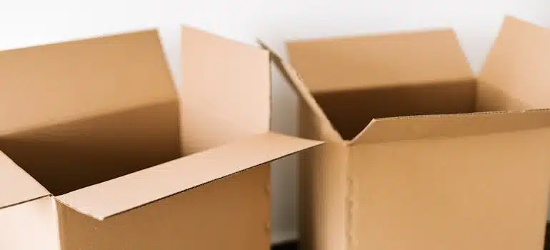 Two open boxes requiring packing assistance