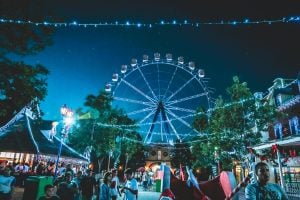 festival with a ferris wheel in the background