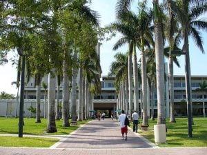 University of Miami library.