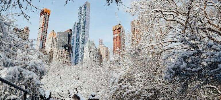 Bridge in park covered with snow 