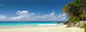Moving to Hallandale Beach to enjoy the ocean
