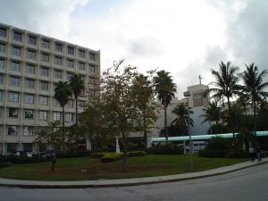 Area of Coconut Grove.