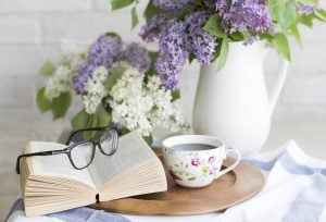 Picture of plants and cup as potential housewarming gifts