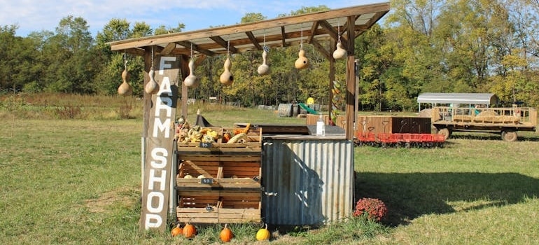 A farmers’ market is one of the most enjoyable things to do in Florida during fall