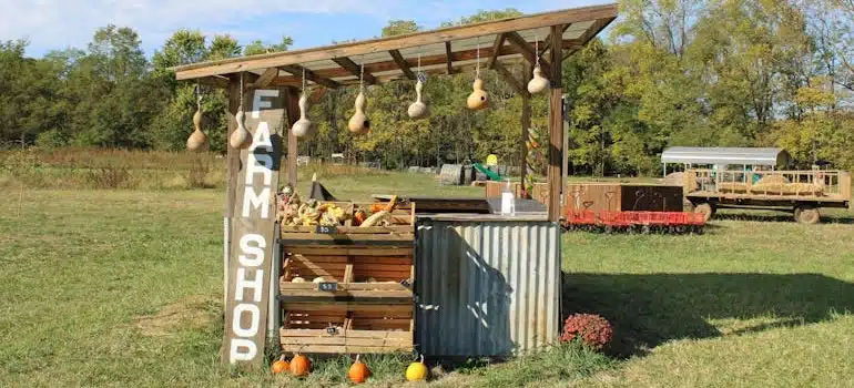 A farmers’ market is one of the most enjoyable things to do in Florida during fall