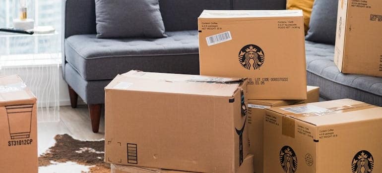 Cardboard Boxes in a Living Room