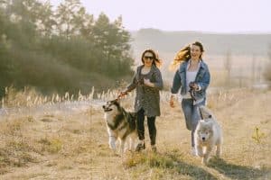 two women walking dogs