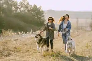 two women walking dogs