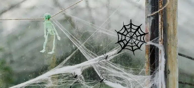 A Window Decorated for Halloween