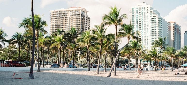 Sunny weather with palm trees on the beach with some hotels