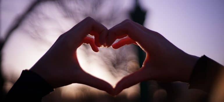  Human hands making a shape of a heart