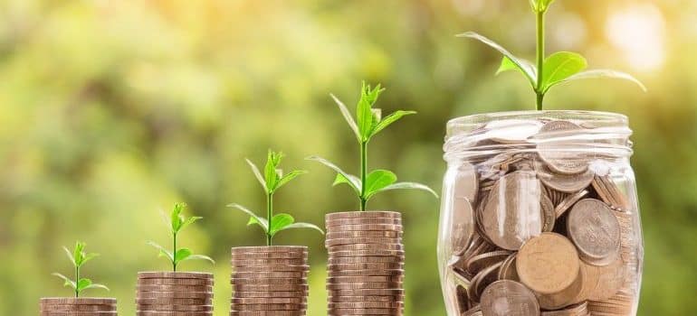 four coin towers and a jar with coins, leaves growing from them