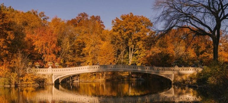 New York in Autumn