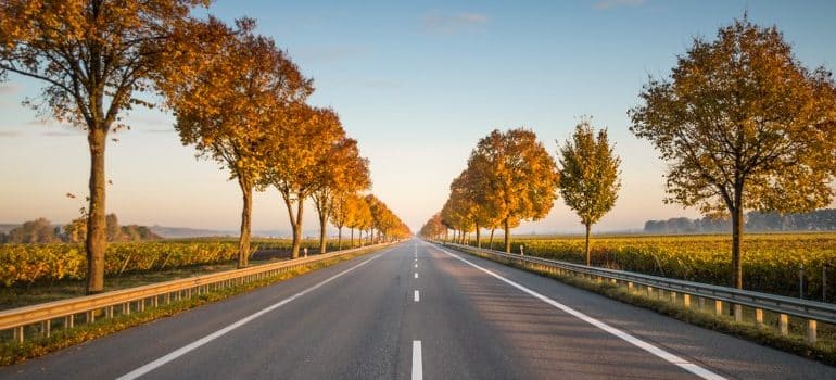 a road on a nice spring day