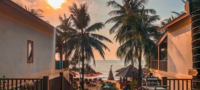 palm trees on a beach during sunset - purchasing a vacation home in Golden beach