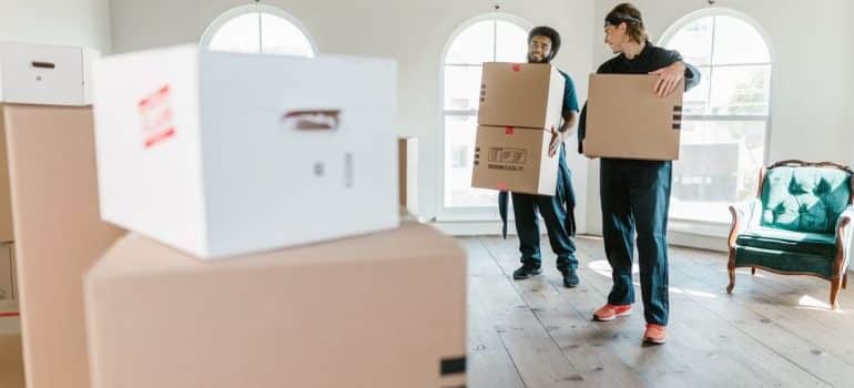 Movers carrying boxes