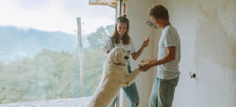 man and woman playing with their dog while doing home renovation