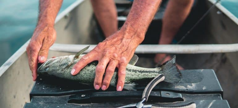 Fish, hands and the boat