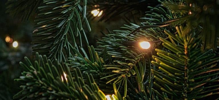lights on the Christmas tree