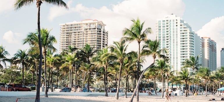 Buildings with palm trees