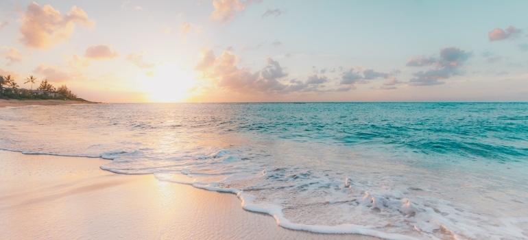 Sandy beach 