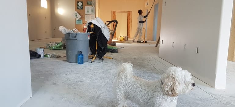 Man cleaning a house
