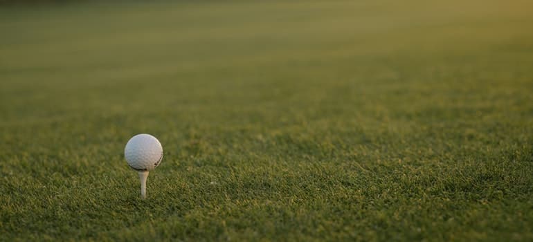 A golf ball is on the grass.