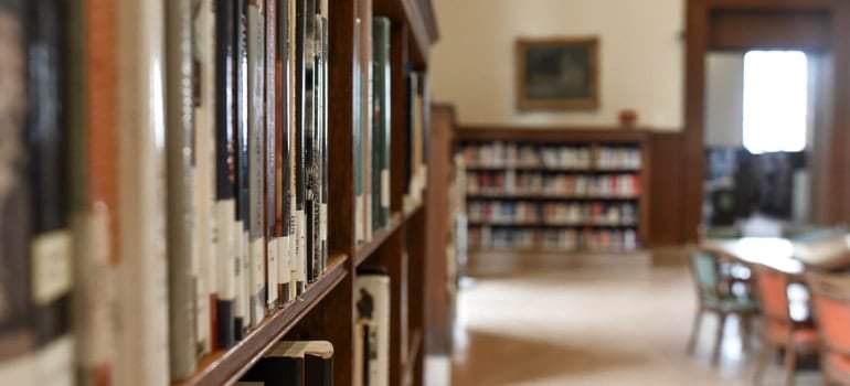 Books on bookshelves