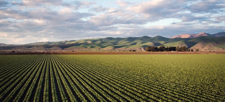 Photo of Green Field Near Mountains