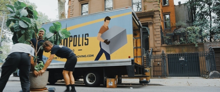 movers packing a plant