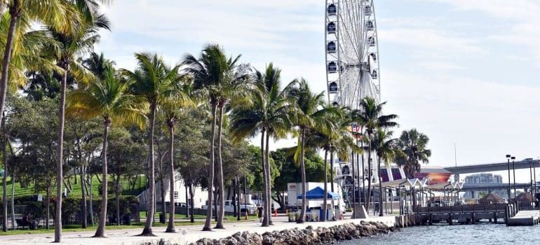 choose a place and start moving to a major tech hub in South Florida