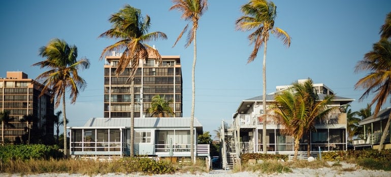 Palm Trees and Buildings Under Blue Sky during Daytime