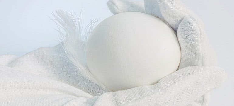 Hand in white glove holding an white egg
