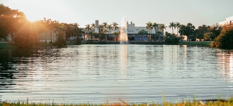 University of Miami 