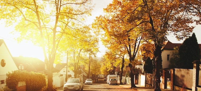 street houses