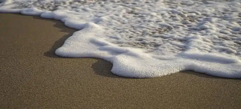 Close-up of Foamy Wave Washing Up the Beach in  Fort Lauderdale