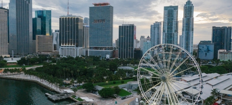 Miami skyline