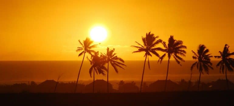 Sunset with palms to show best places to live in Miami Dade County