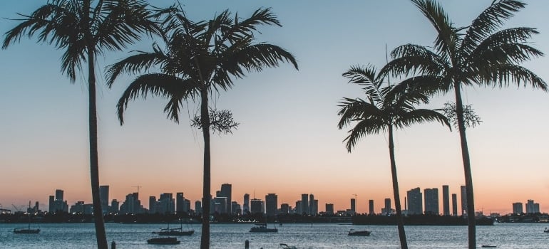 Students moving back to California after college and seeing Florida skyline