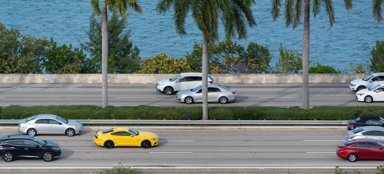 Cars on a Miami Road Between Bodies of Water