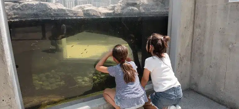 Kids at the zoo
