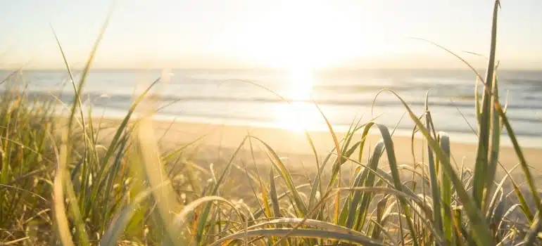 Picture of a sunrise