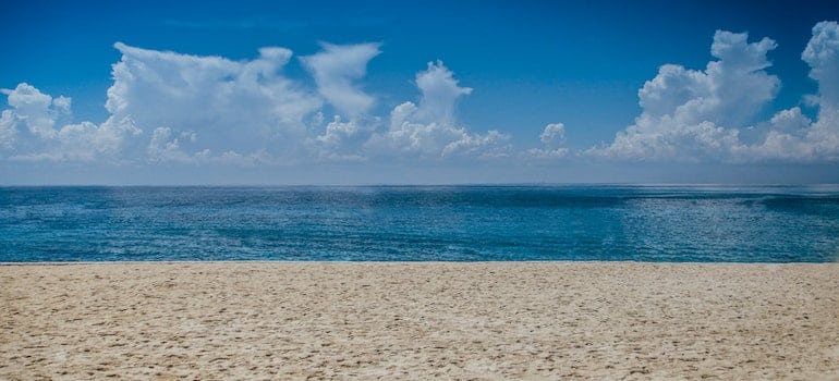 Ocean view during daylight;