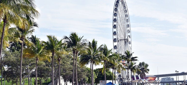 Ferris wheel and palm trees;