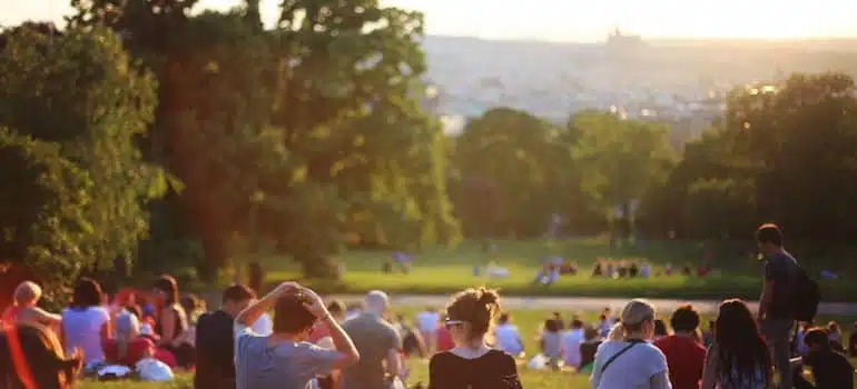 People sitting in a park;