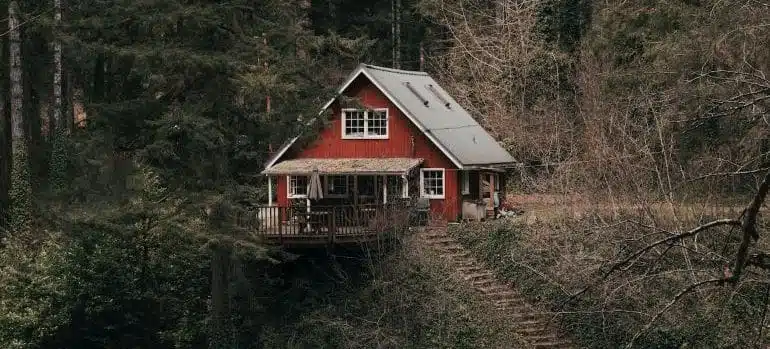 a house in the woods