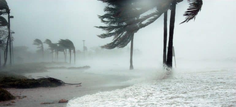 A powerful hurricane hitting the Miami coast
