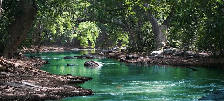 A green river;