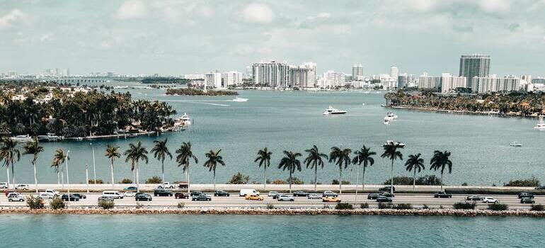 people on the beach during daytime